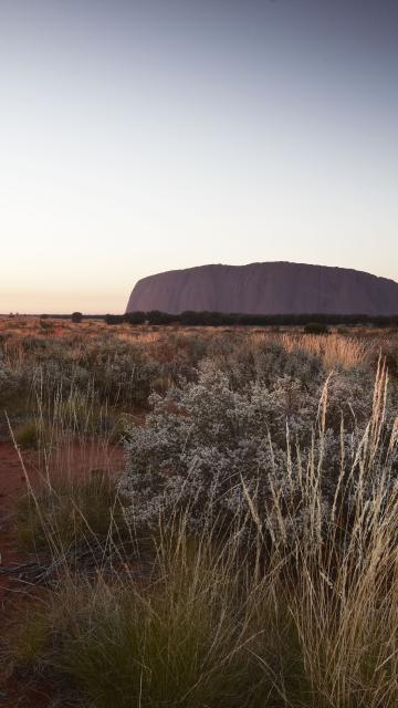 Uluru at sunset